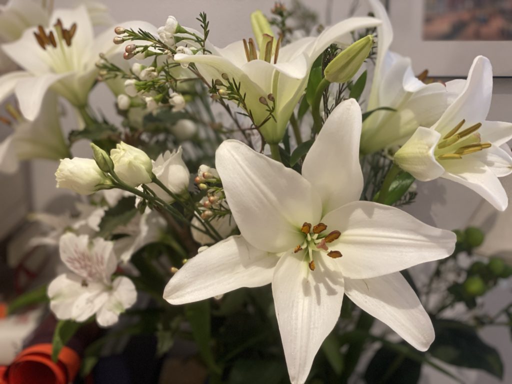 Freddie's Flowers