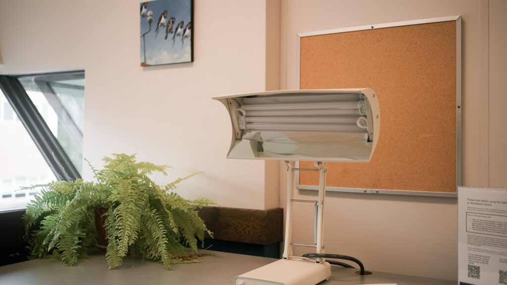 A tidy UK home office lighting setup for 2026 with a warm desk lamp, plant and corkboard