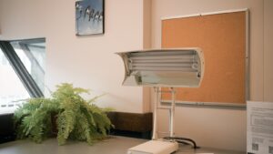 A tidy UK home office lighting setup for 2026 with a warm desk lamp, plant and corkboard