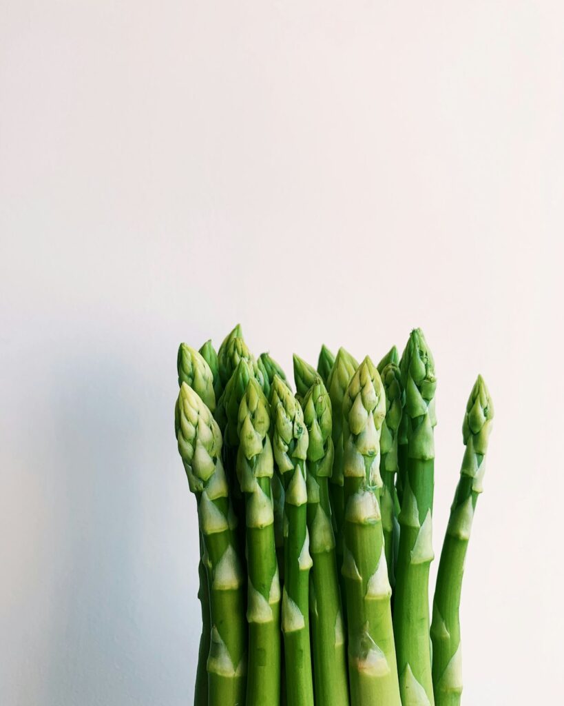 Picnic food ideas spread on a blanket for a spring day out