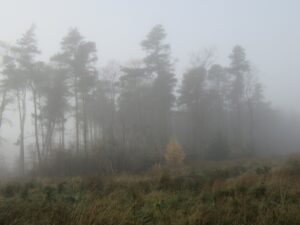 british-folk-horror-2026