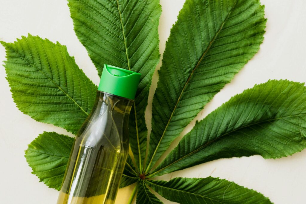 Heartleaf skincare UK serum bottle resting on a large green leaf, illustrating the calming Korean ingredient.