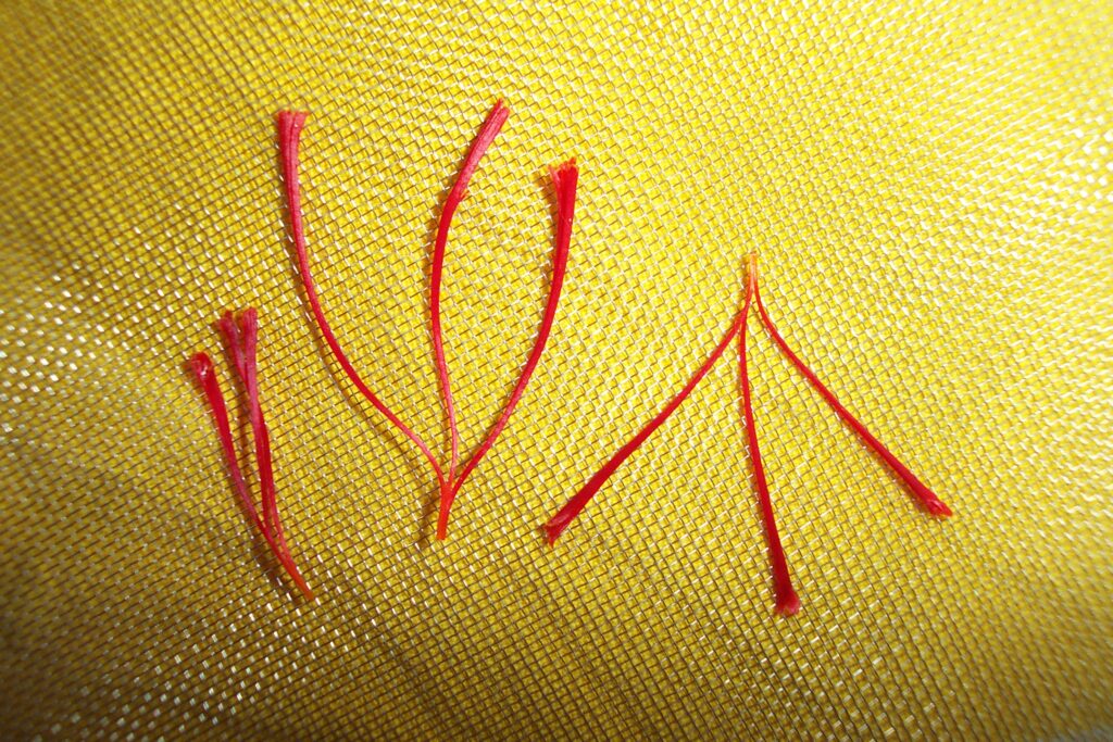 Saffron threads on yellow fabric, illustrating saffron supplements UK 2026 and their use for mood and PMS
