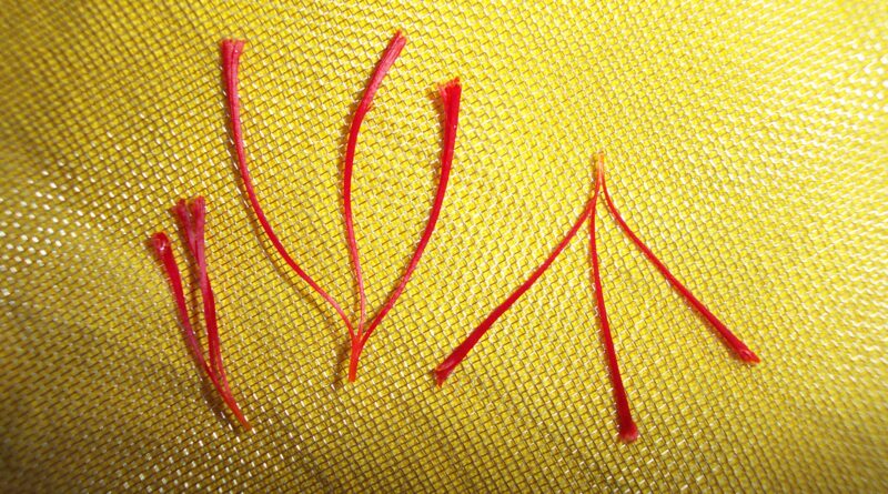 Saffron threads on yellow fabric, illustrating saffron supplements UK 2026 and their use for mood and PMS