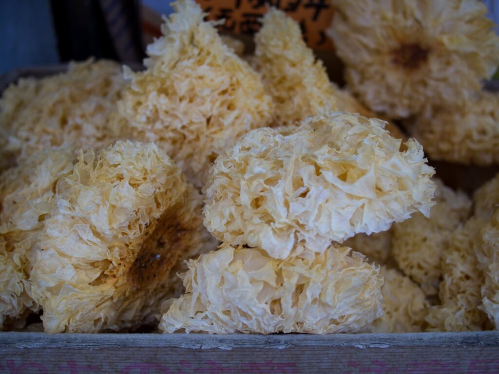 Dried tremella mushroom in a small bowl, the silver-ear ingredient behind tremella skincare UK shoppers are now buying