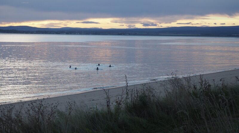 Wild swimmers entering the sea at Rosemarkie Beach, an example of the UK wild swimming 2026 weekend habit