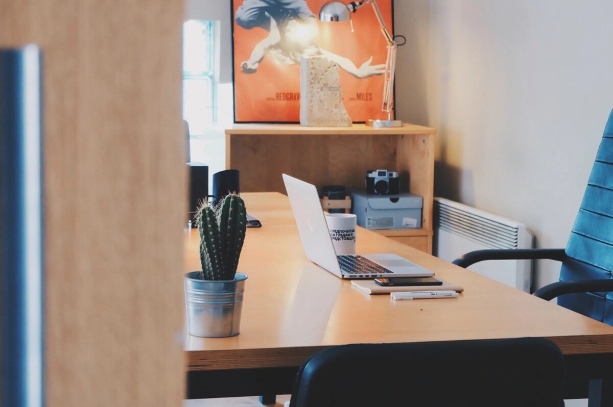 A modern garden room home office with a desk, laptop, plant and natural light