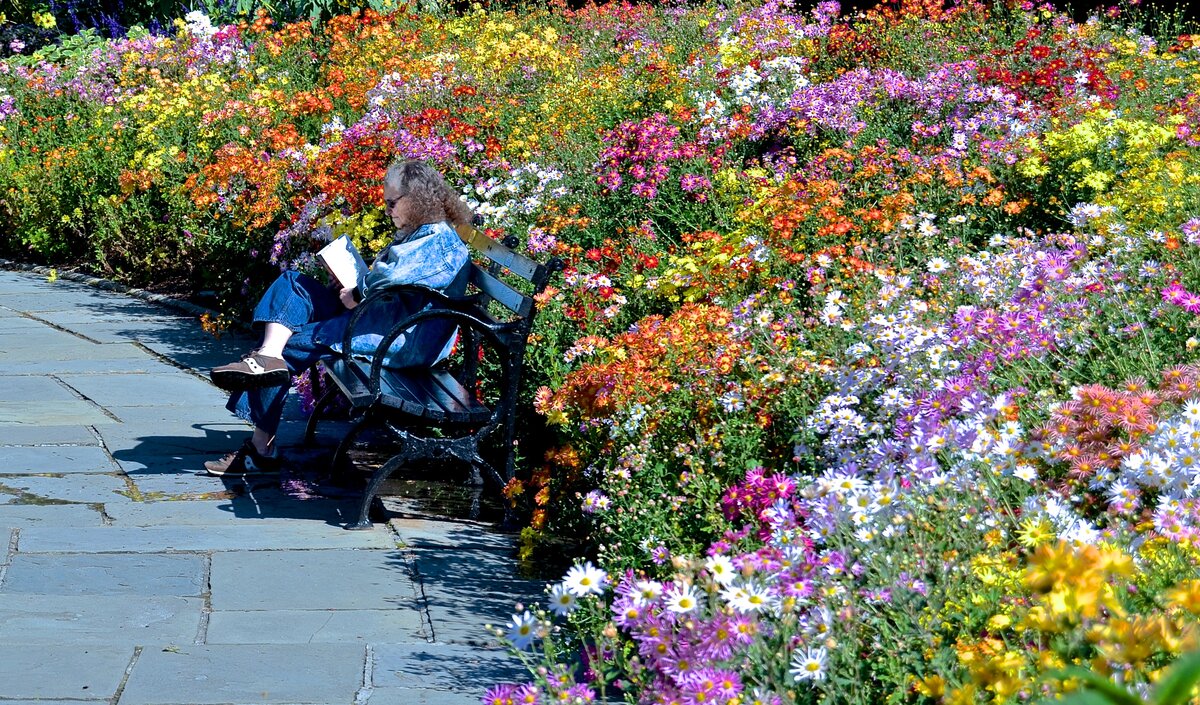 A person relaxing and reading outdoors in a colourful garden in summer