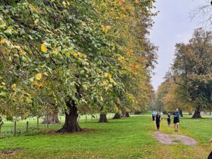 best-parkruns-uk-2026