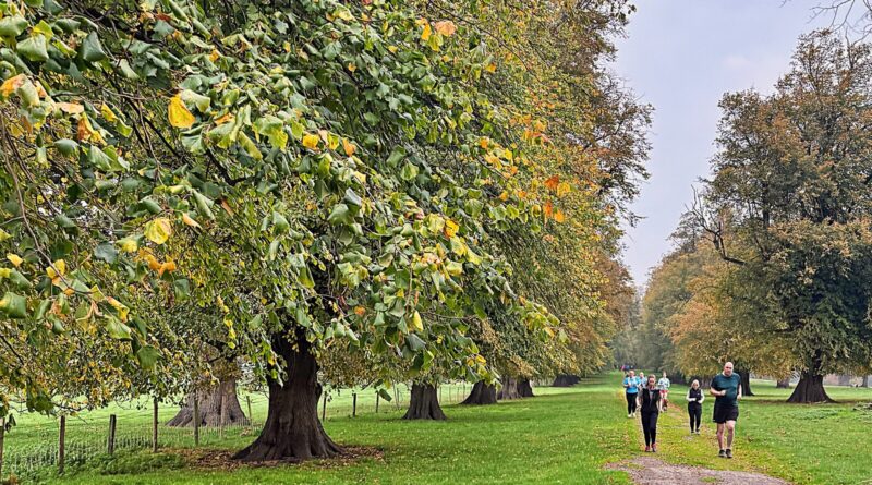 best-parkruns-uk-2026