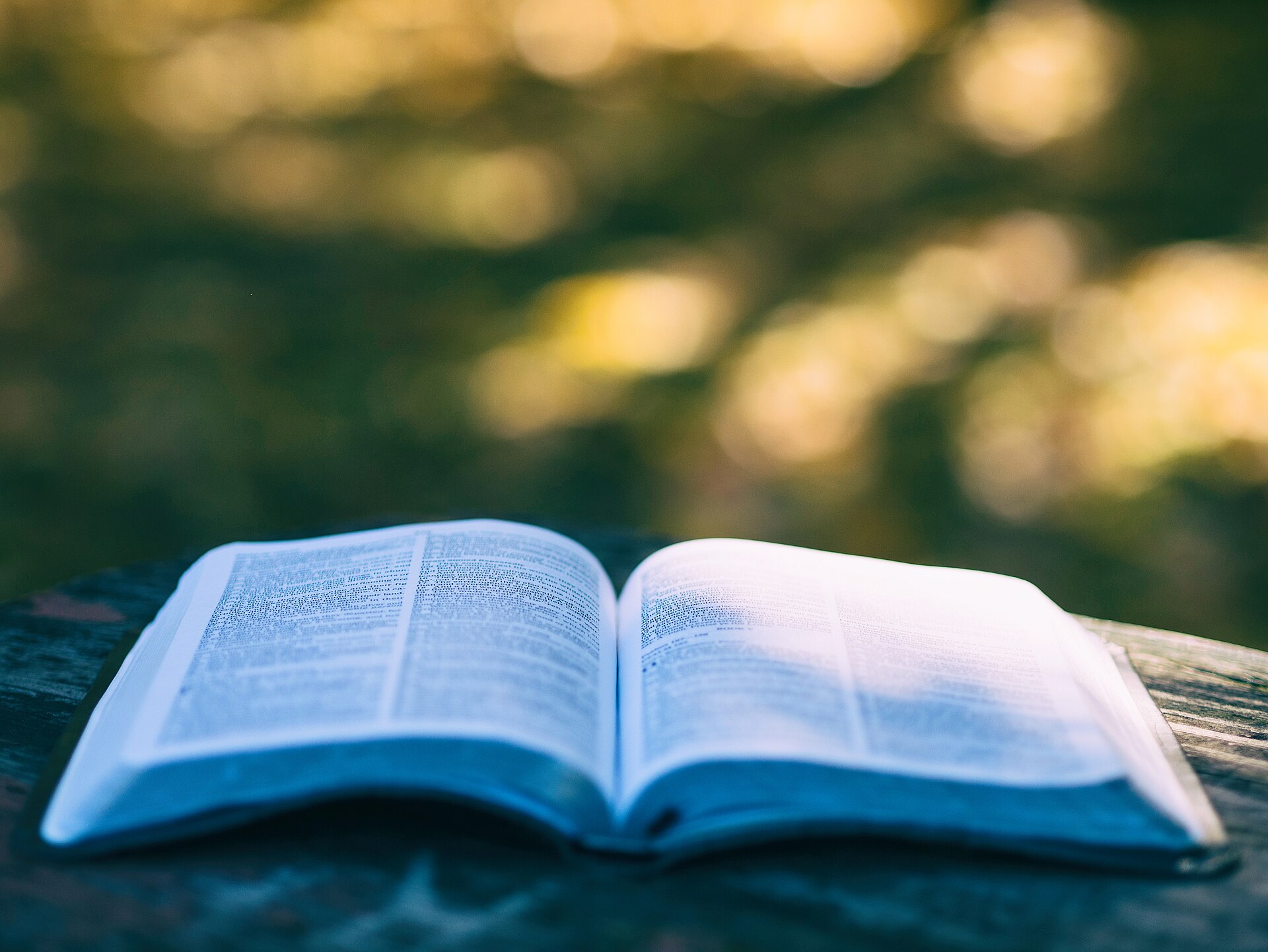 An open paperback on a table outdoors in dappled summer light