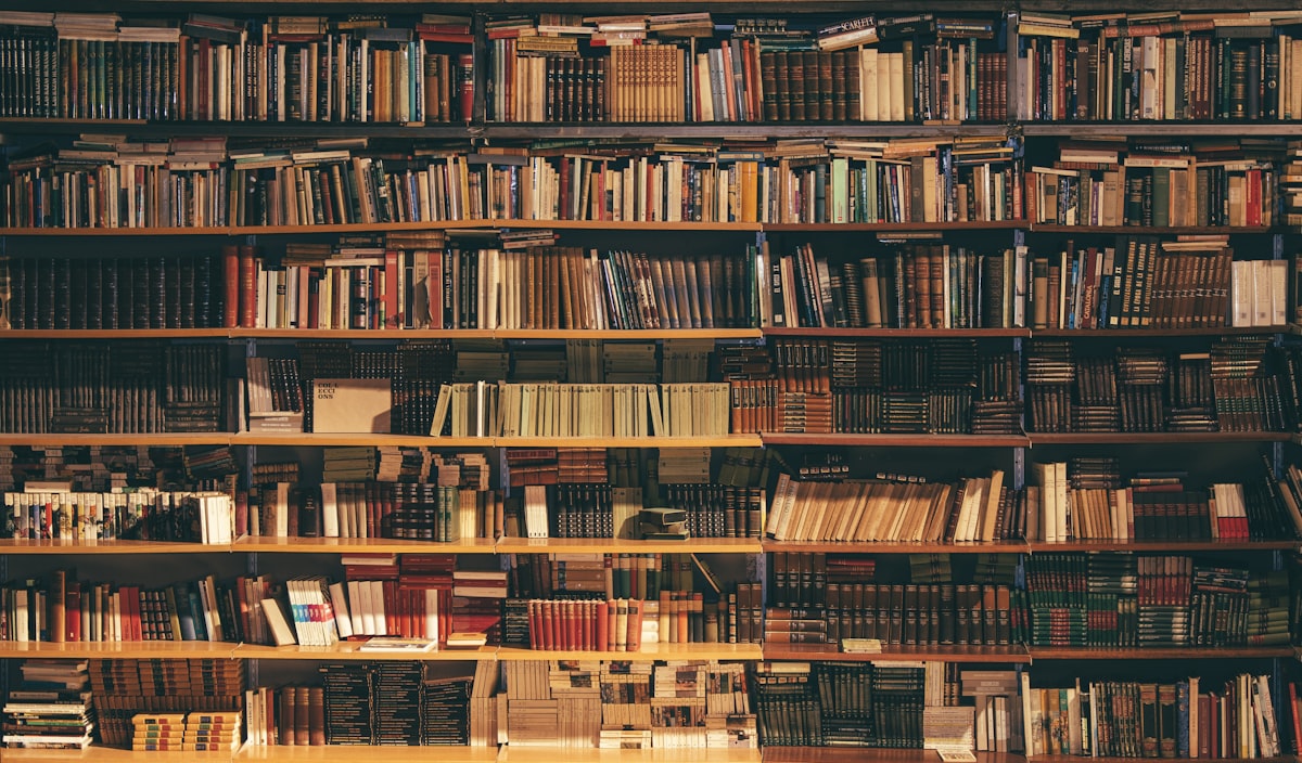 A full wall of shelves packed with mixed hardbacks and paperbacks, the core of the bookshelf wealth look