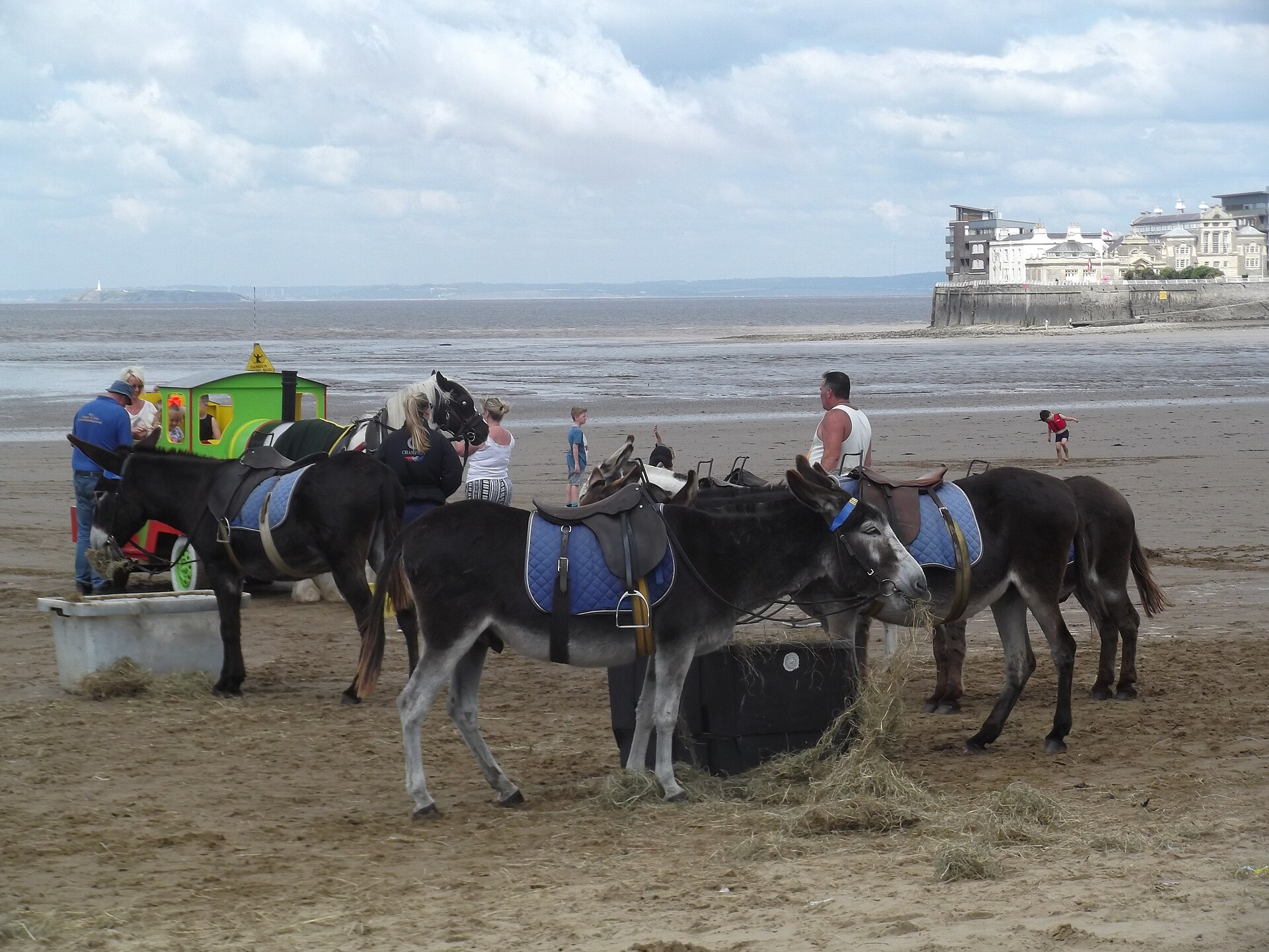 Donkeys on the sand at a classic British seaside beach
