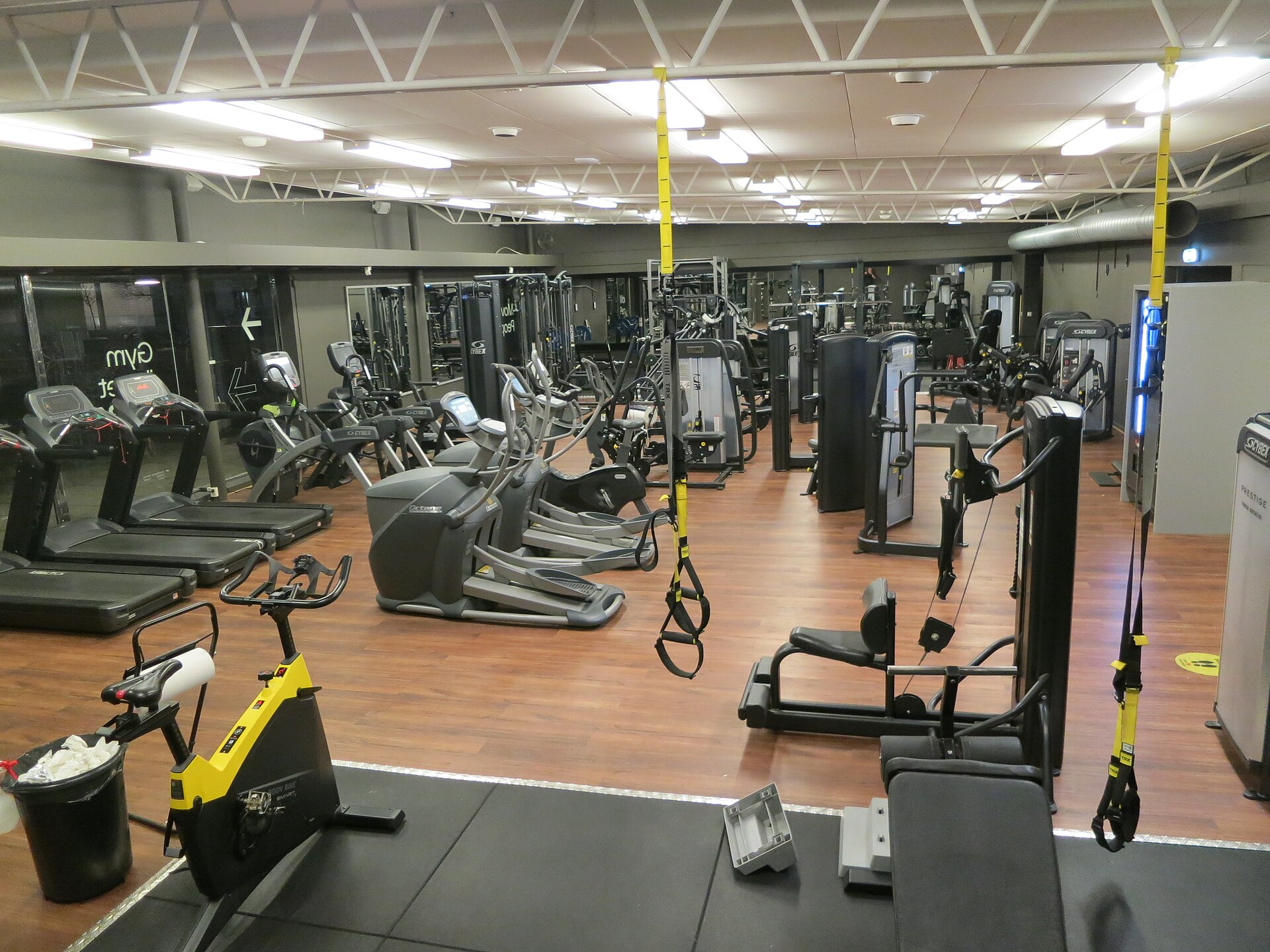 Woman lifting weights in a gym, part of the creatine gummies strength training discussion