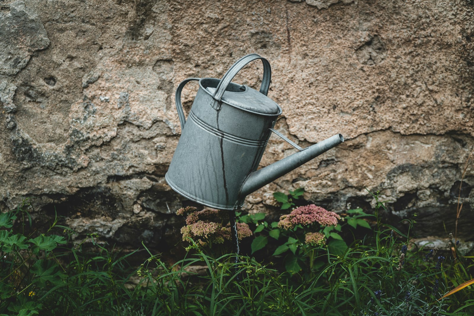 A metal watering can resting on dry soil during a hosepipe ban