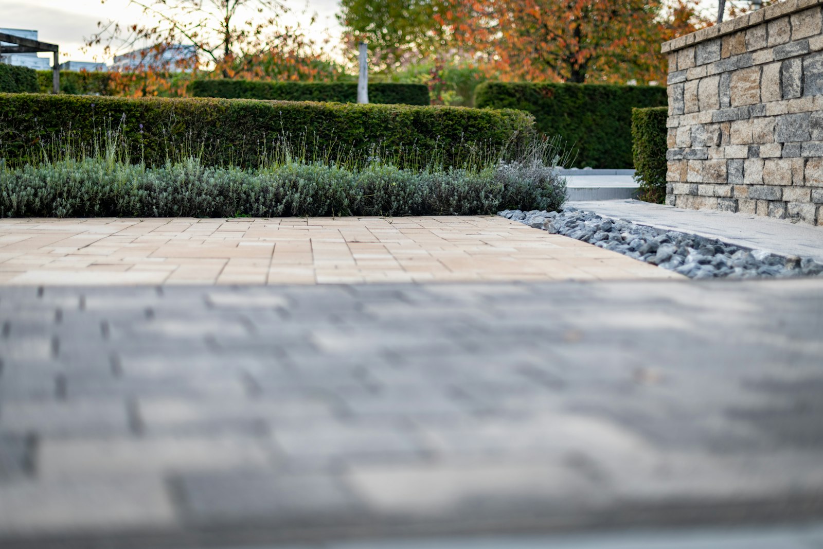 A gravel garden path with stone walls and structured drought-proof planting