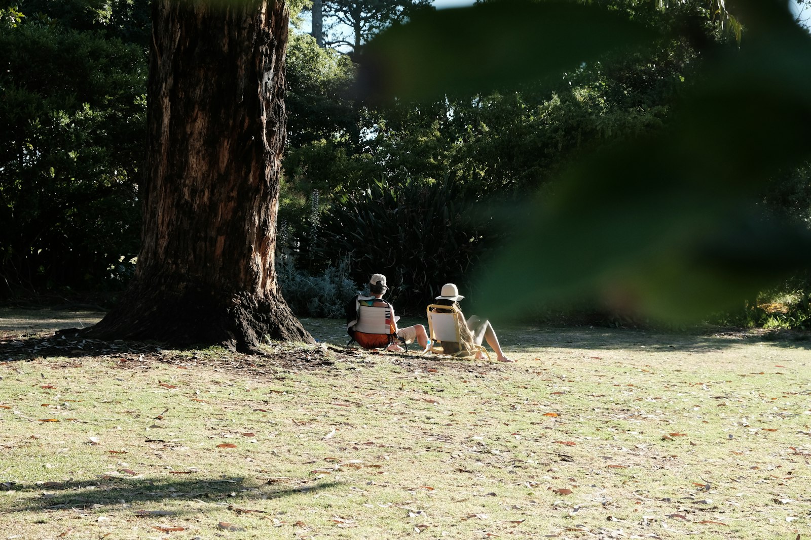 People resting in the shade under a tree, recovering after exercising in a heatwave