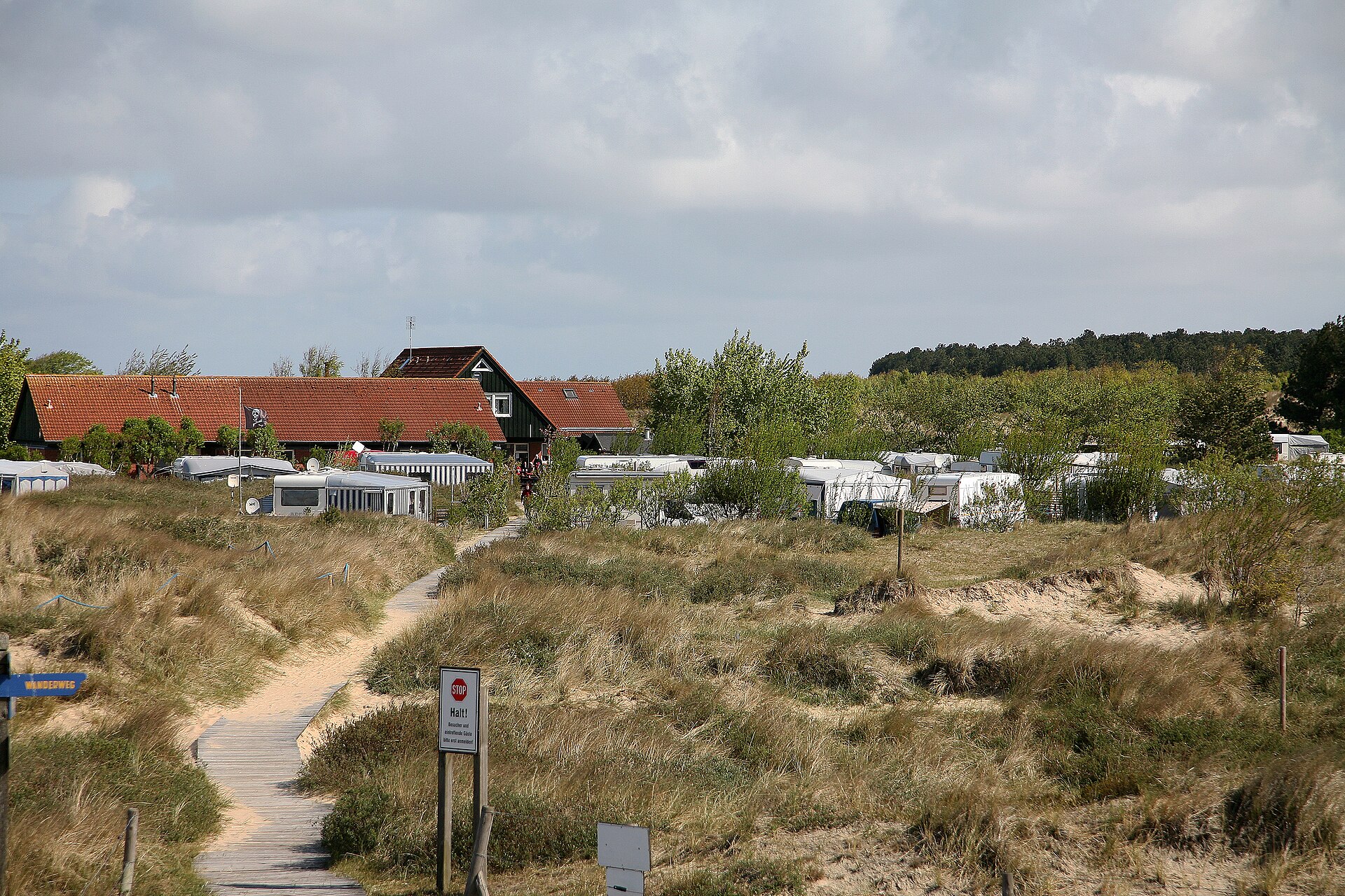 Tents pitched on a grassy coastal campsite in summer