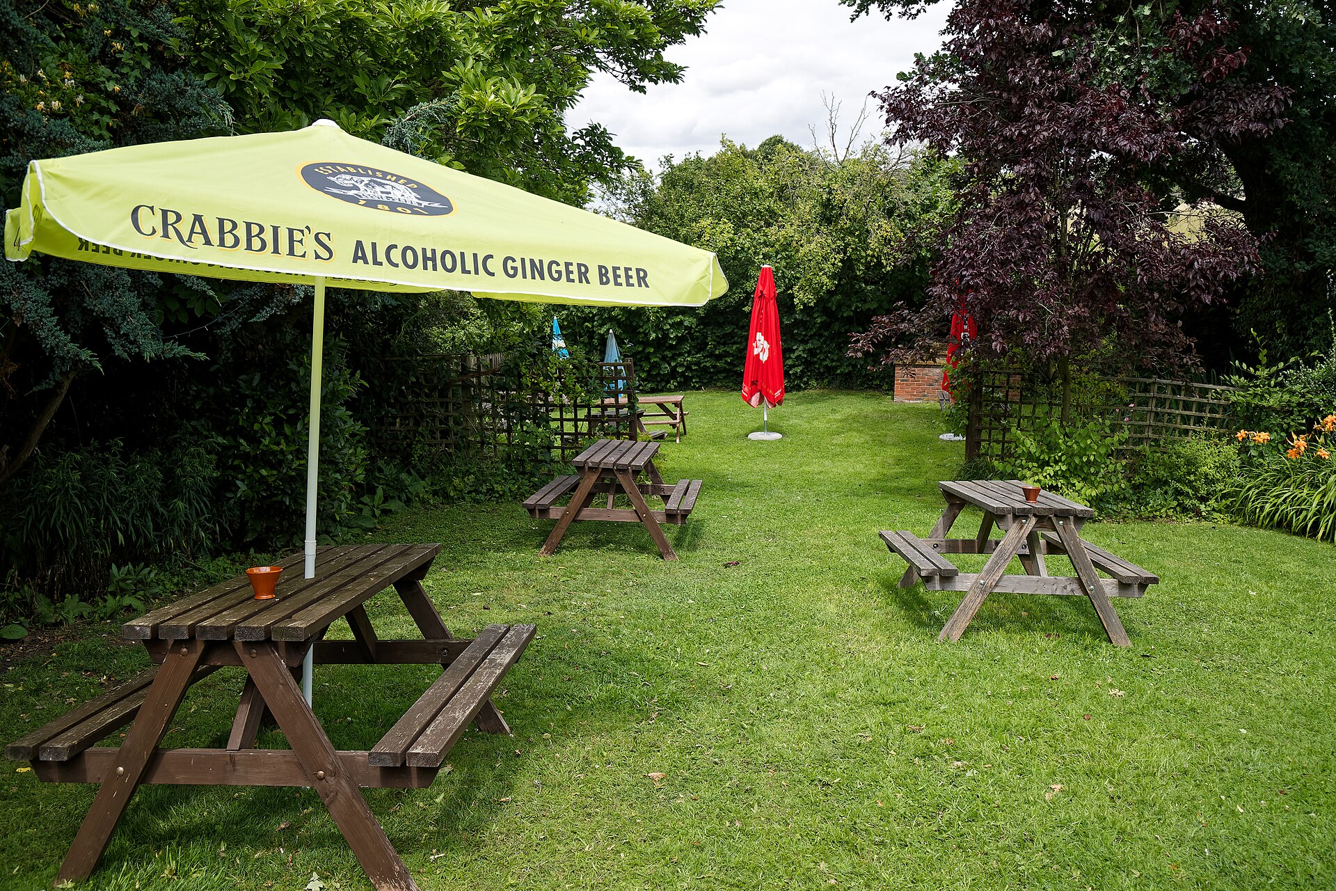 A British pub beer garden on a summer evening, prime territory for bites and insect bite treatment