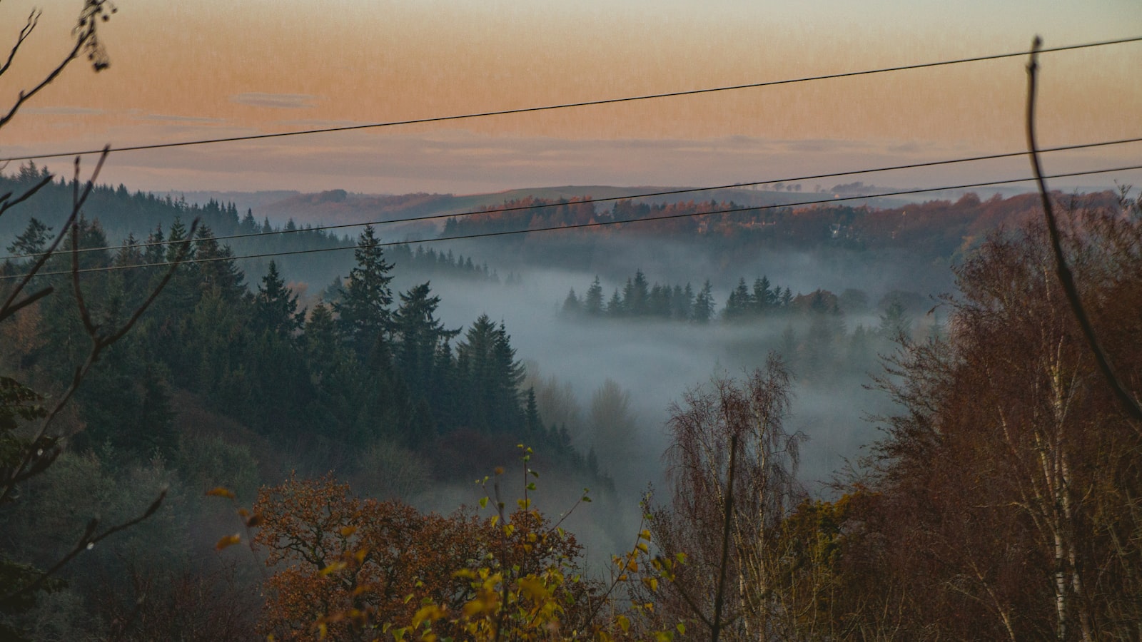 Fog hanging over trees in a Scottish glen, the kind of gloom The Dark trades in