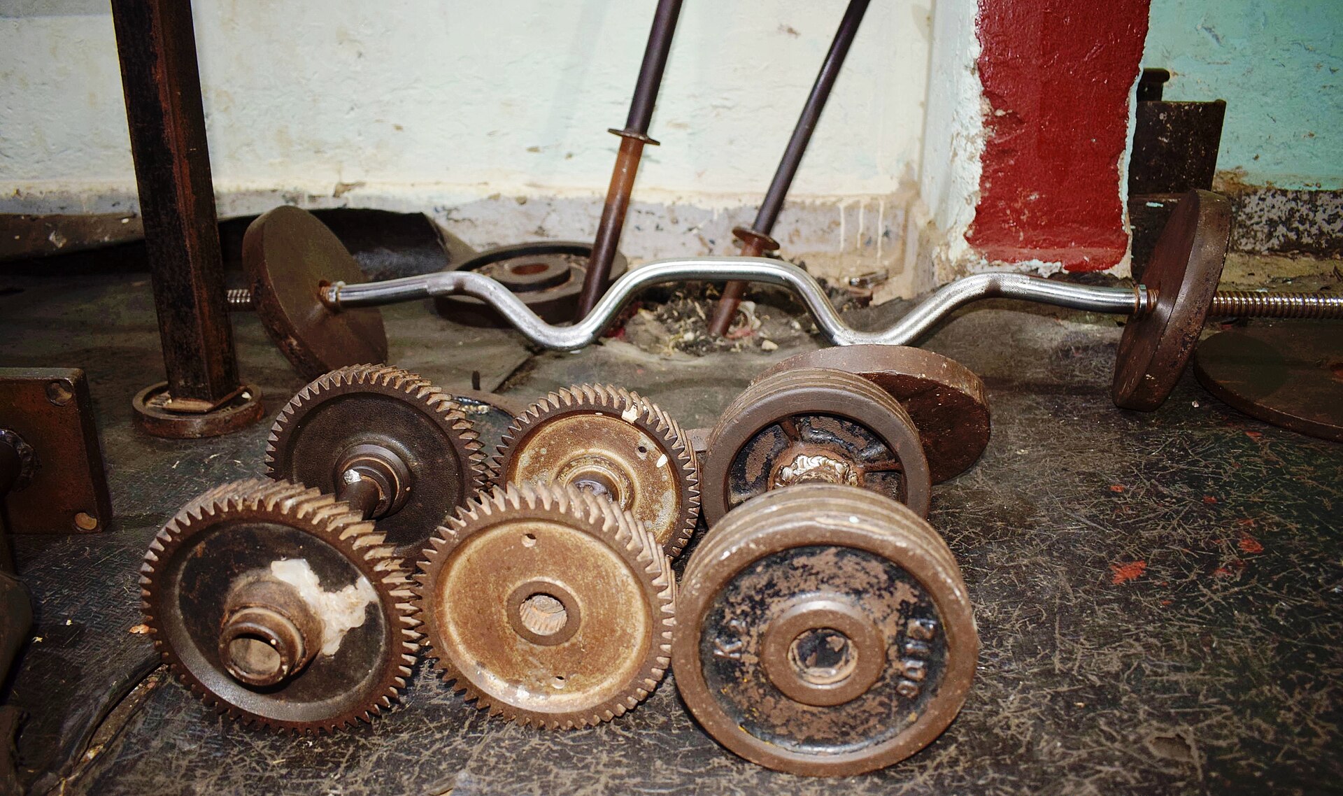 Rack of dumbbells in a gym, where ashwagandha is often pitched as a testosterone booster