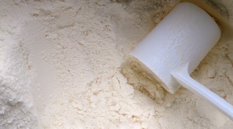 Close-up of a white scoop resting in pale milk powder, the form most bovine colostrum supplements take
