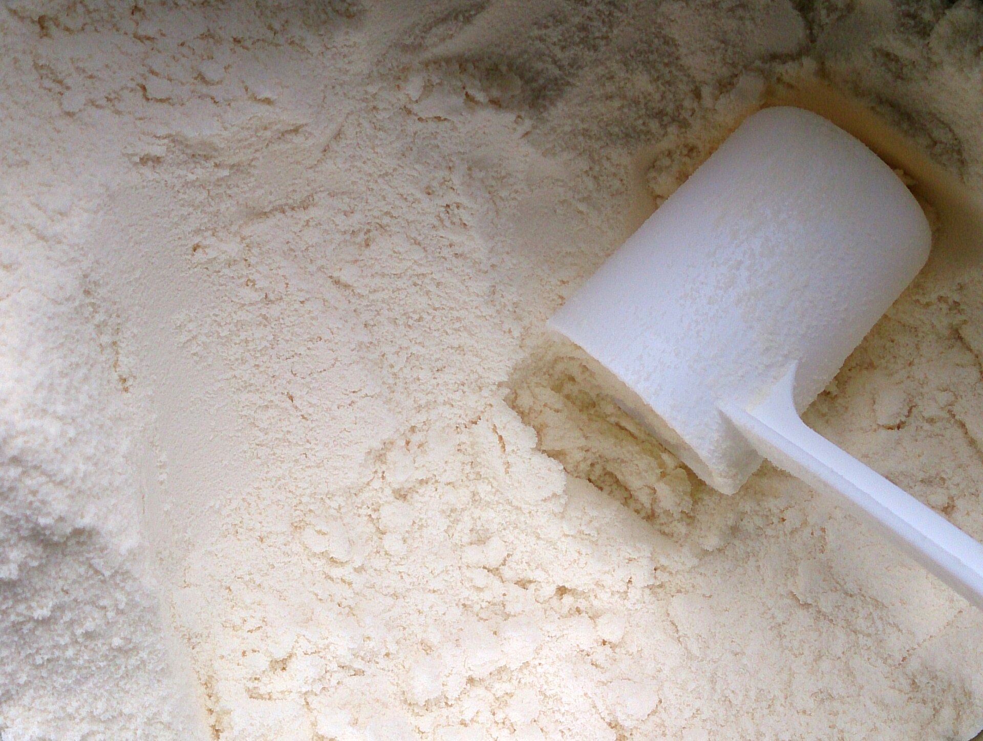Bovine Colostrum Benefits: What 152 Gym-Goers and a Newborn Calf Reveal About 2026’s ‘Liquid Gold’ – And Why Your Scoop Is 20 Times Too Small