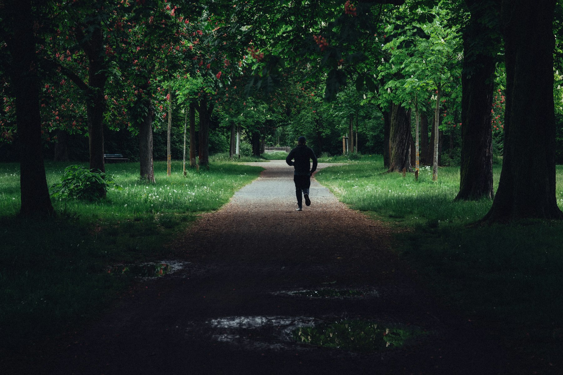 A runner on a path through a green British park, where continuous glucose monitors have become part of the fitness uniform