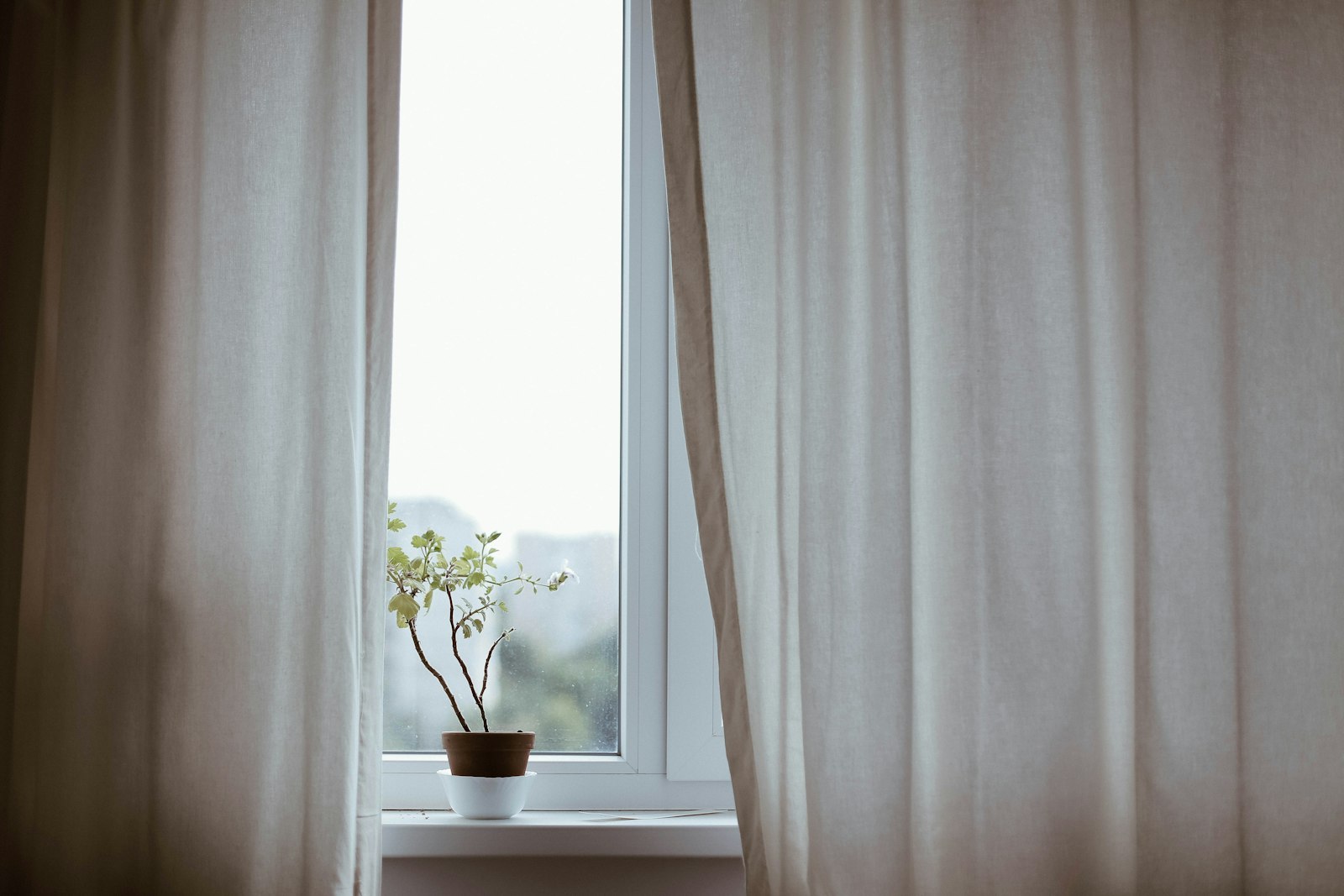 Open window with a light curtain during evening ventilation