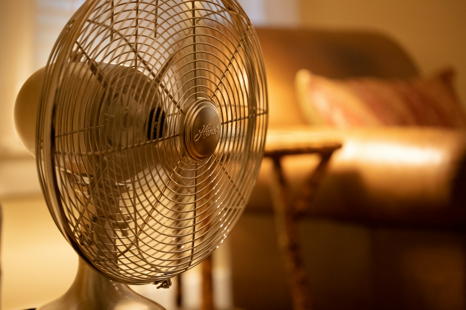 Pedestal fan running in a living room