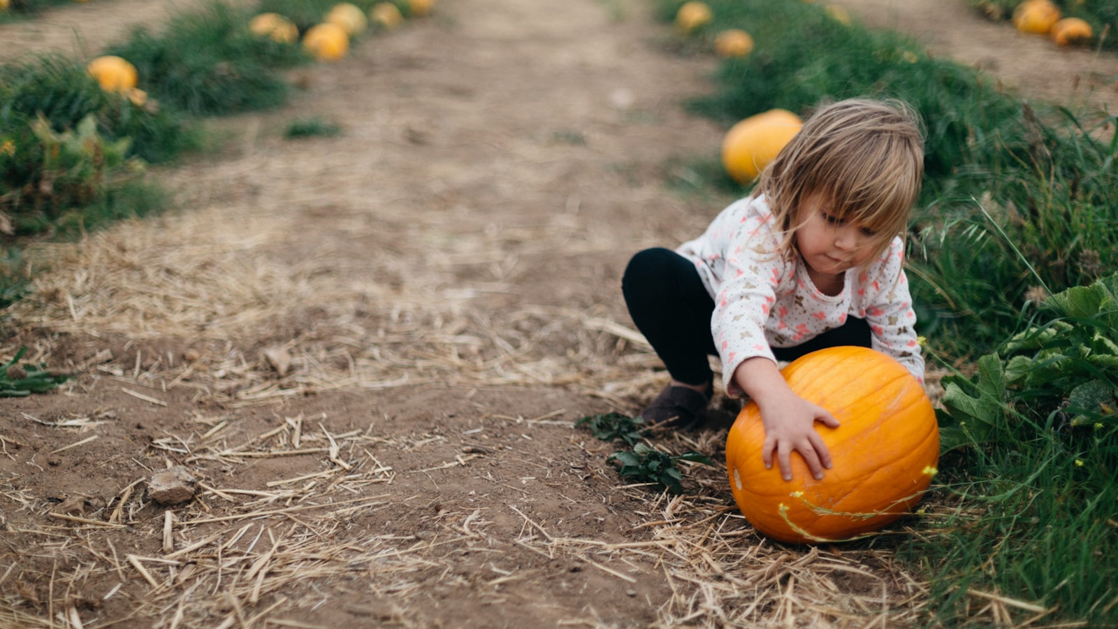 Child carrying a pumpkin at a farm, the kind of Halloween outing that anchors October half term week