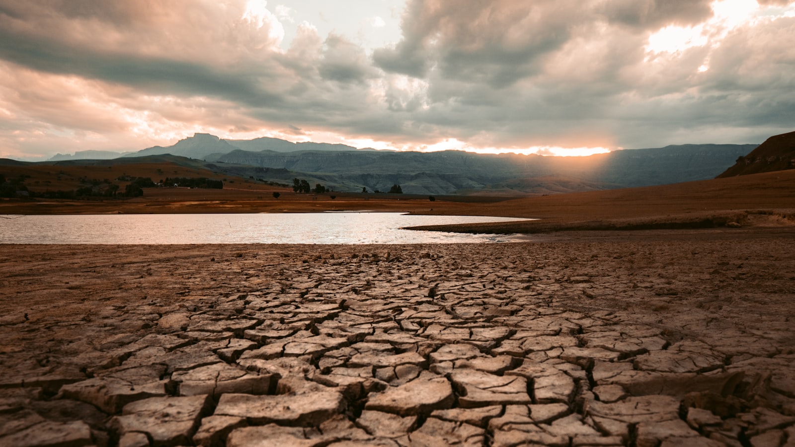 Cracked, drought-dried earth under harsh sun, the kind of parched British landscape The Rapture imagines
