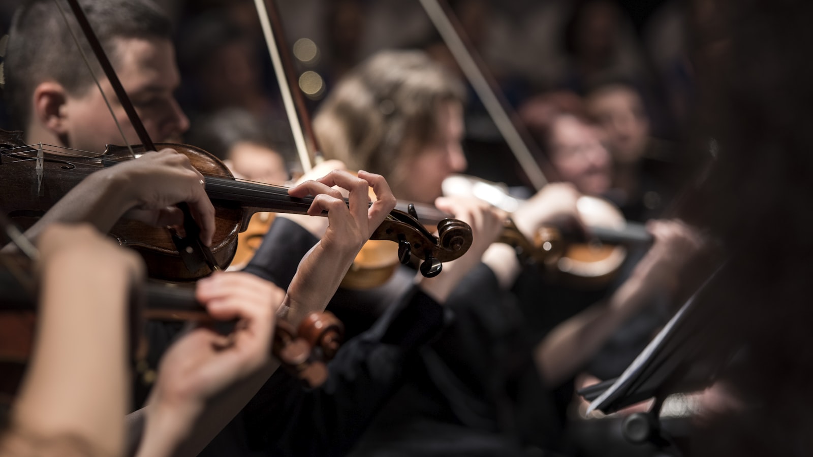 String players performing in a seated concert hall