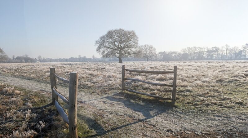 vitamin-d-in-winter