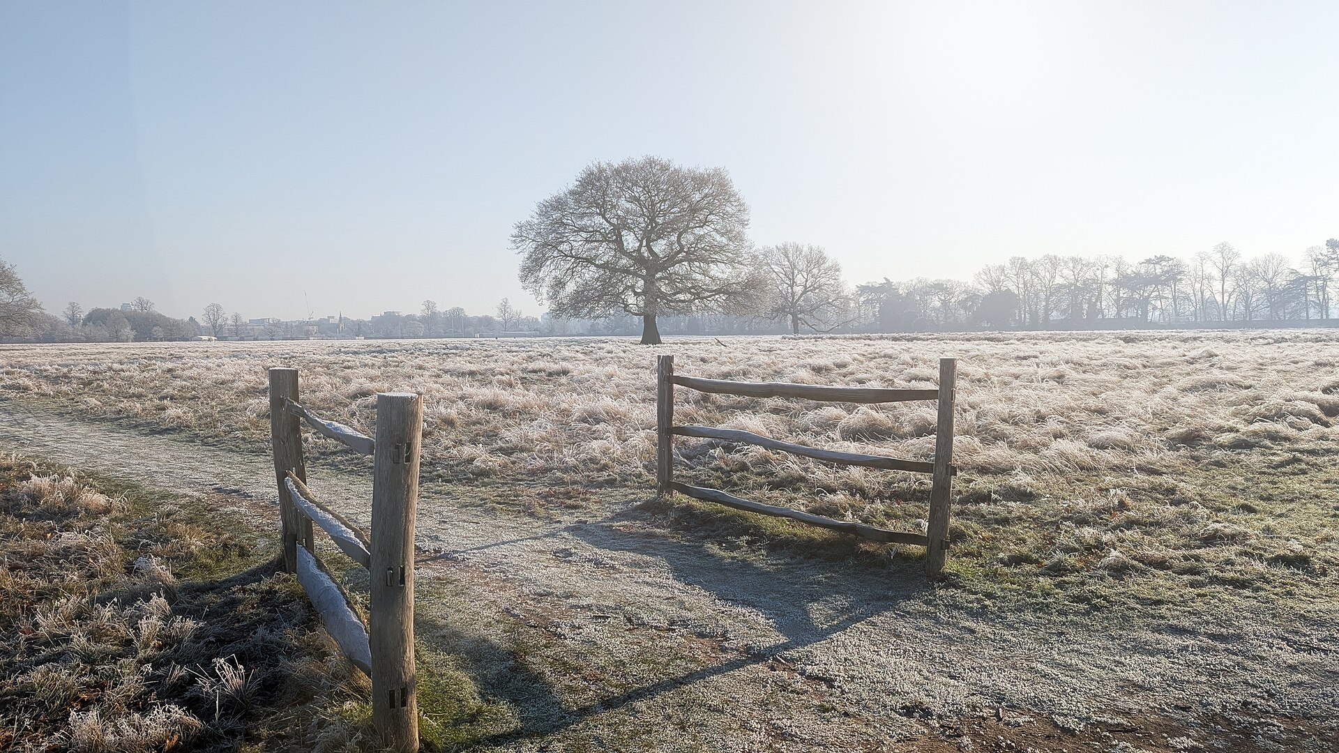 Vitamin D in Winter 2026: A 25,871-Person Trial Flopped, the NHS Still Says Take It From October – and Both Are Right