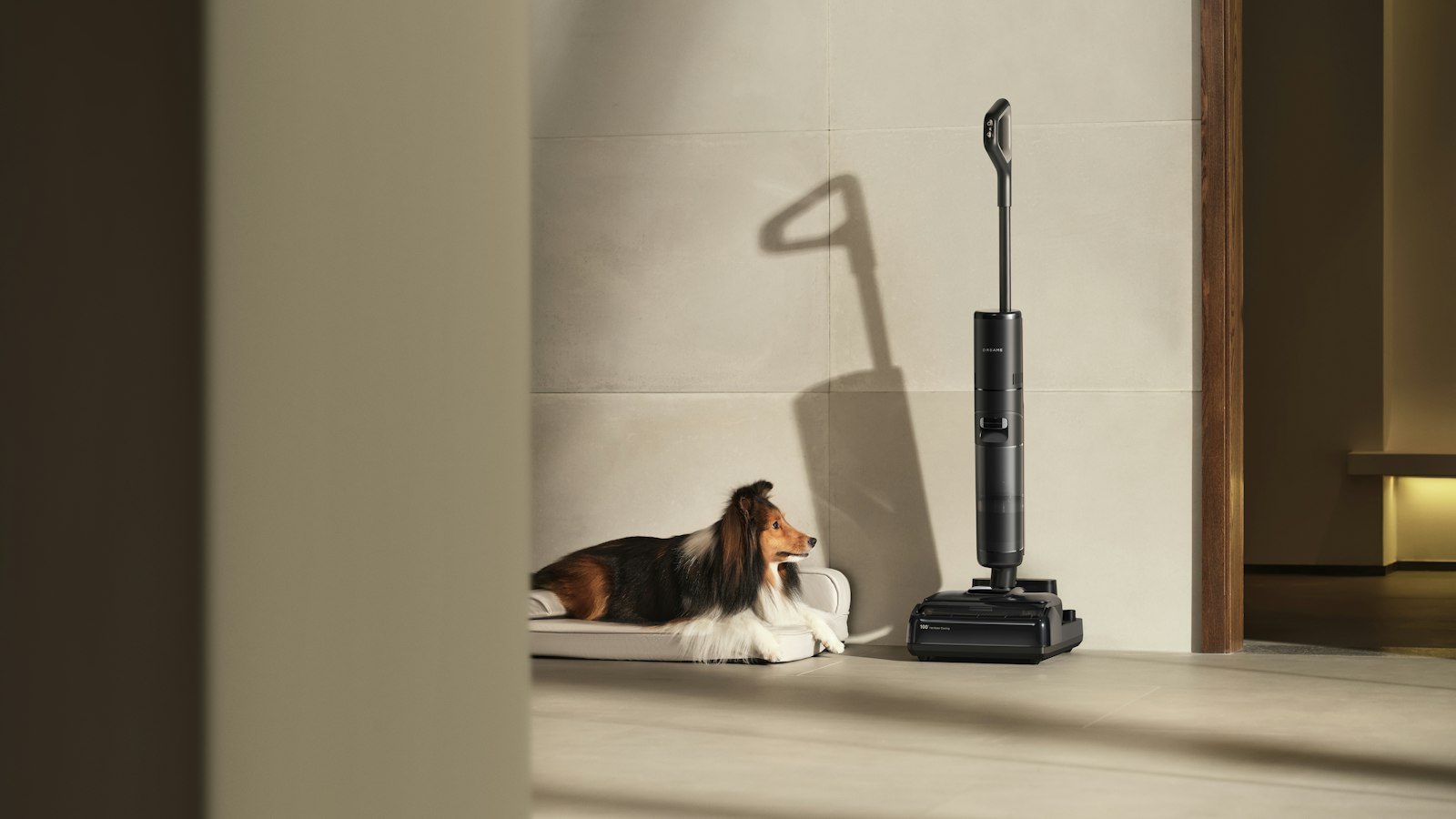Dog resting next to a vacuum cleaner on the living room floor