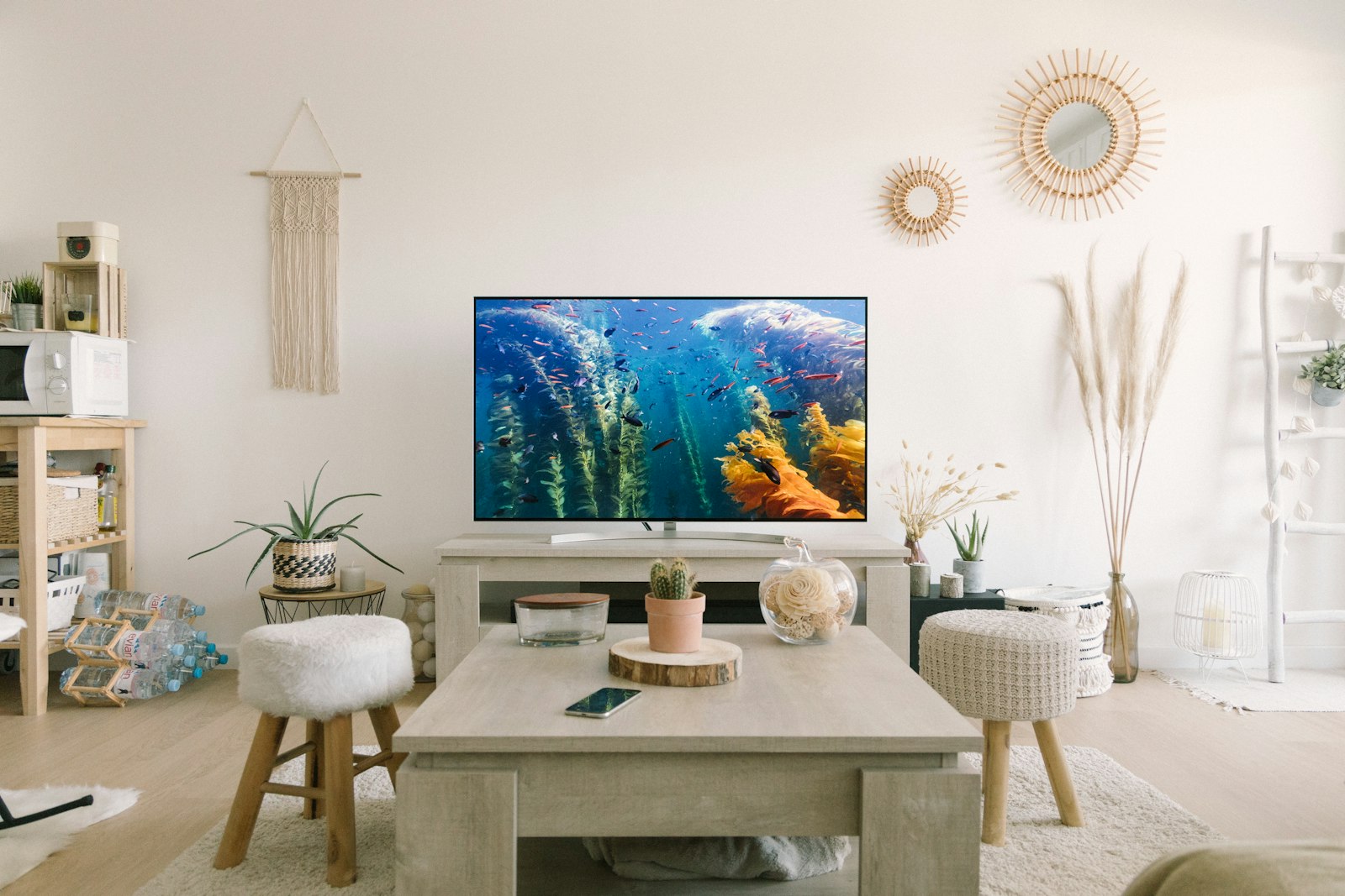 Living room television, the product category with the widest gap between Black Friday and spring prices