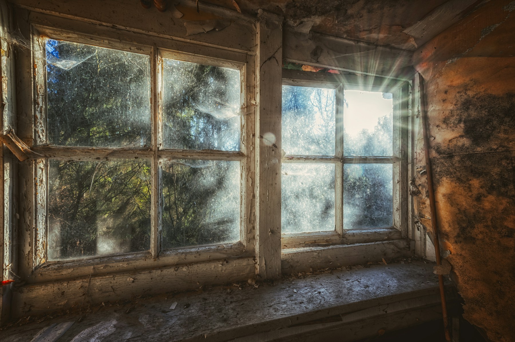 Sunlight coming through an old window, daylight carrying far more blue light than any screen blue light glasses filter