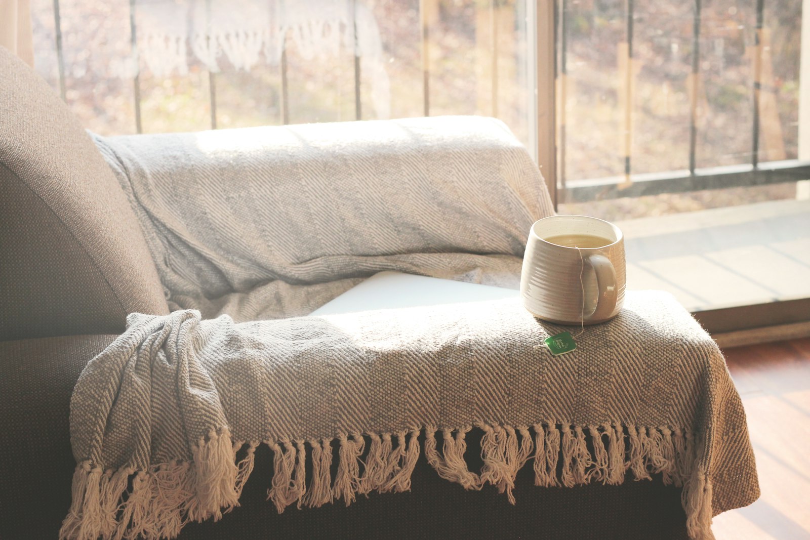 A wool throw and a mug on a sofa by a window. A heated throw costs about 3p an hour, a fan heater 53p