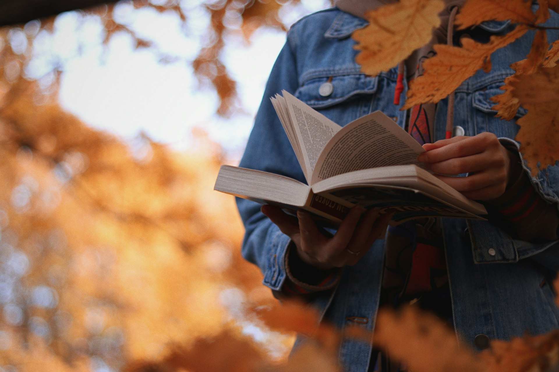 A reader holds a paperback book