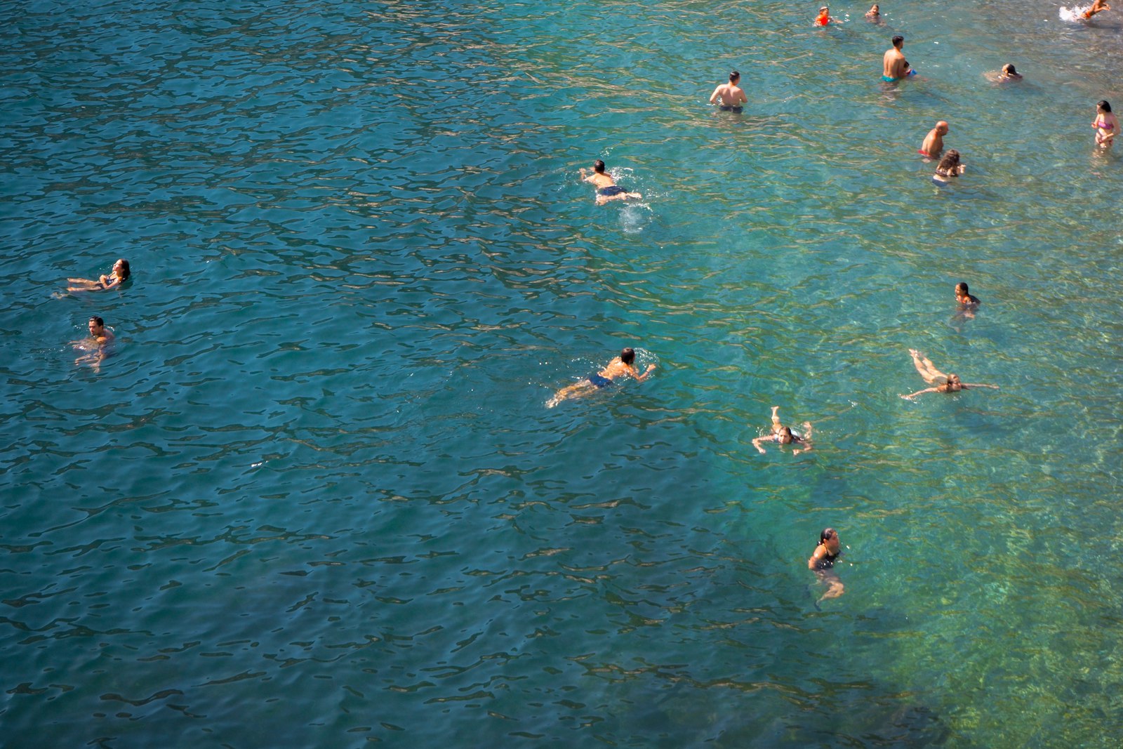 A group of sea swimmers in open water - the small-group setting most cold water swimming benefits studies were done in