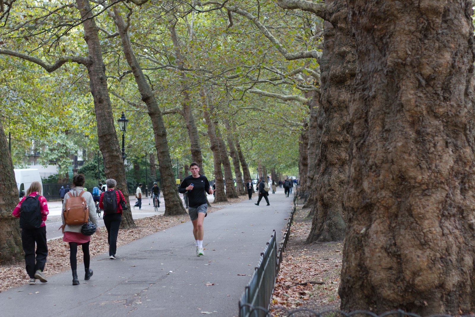 People walking and running along a tree-lined London park path - the joint evidence for collagen is stronger than the skin evidence