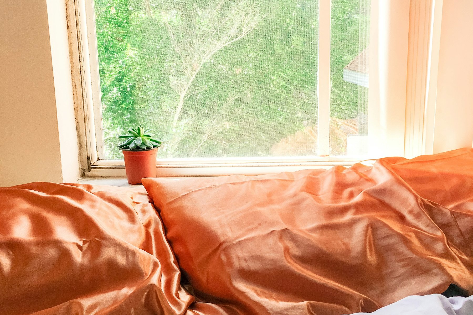 Bedroom with soft grey and green curtains letting in morning light beside a made bed