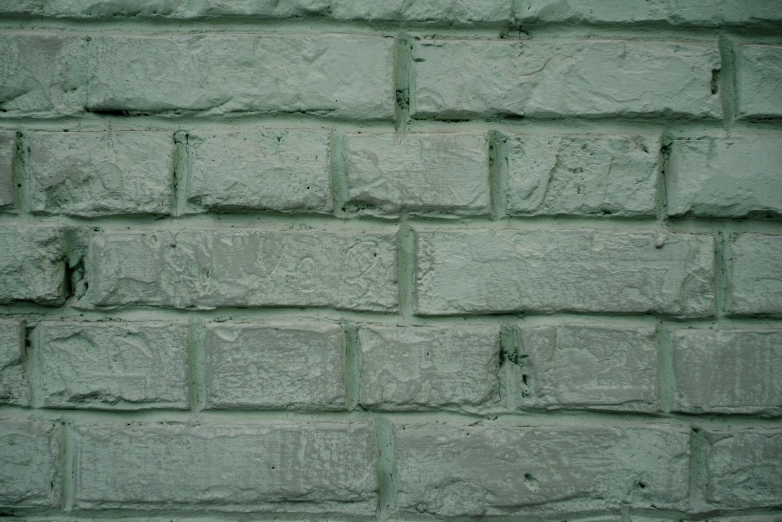 Pale sage green painted brick wall, close to the tone of the Dulux Colour of the Year 2027 Soulful Sage