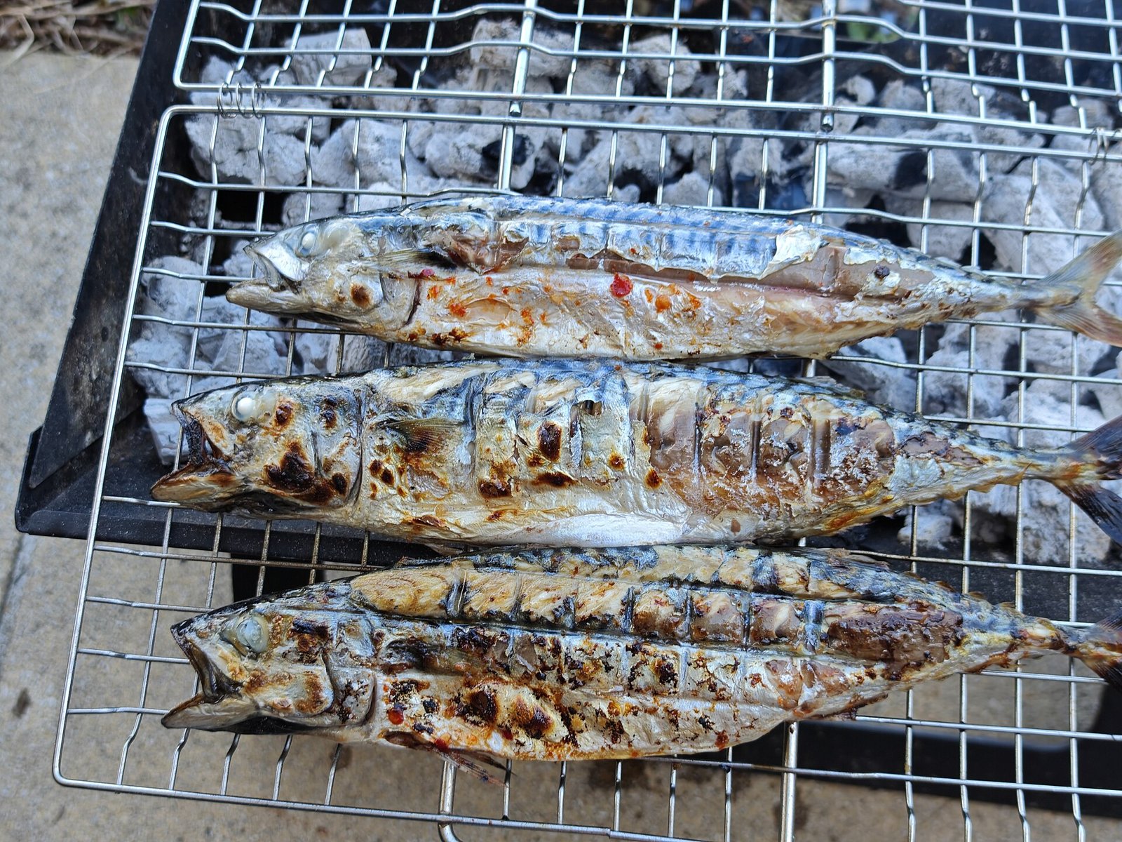 Whole mackerel grilling on a barbecue, the food source of omega-3 rather than fish oil supplements