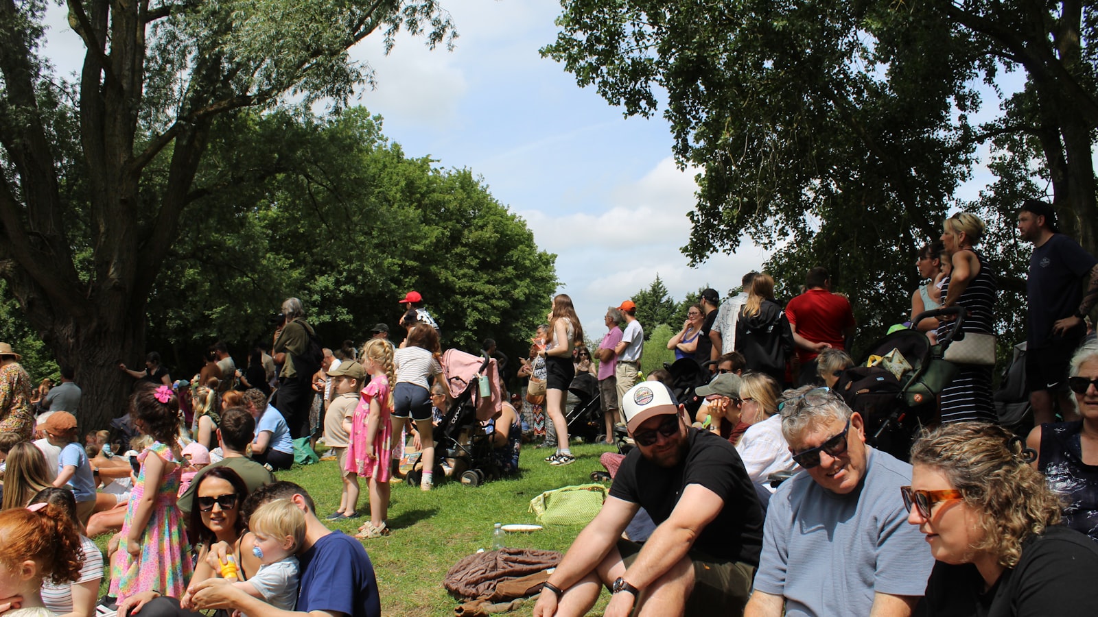 Festival crowd spread across a grassy park on a summer evening