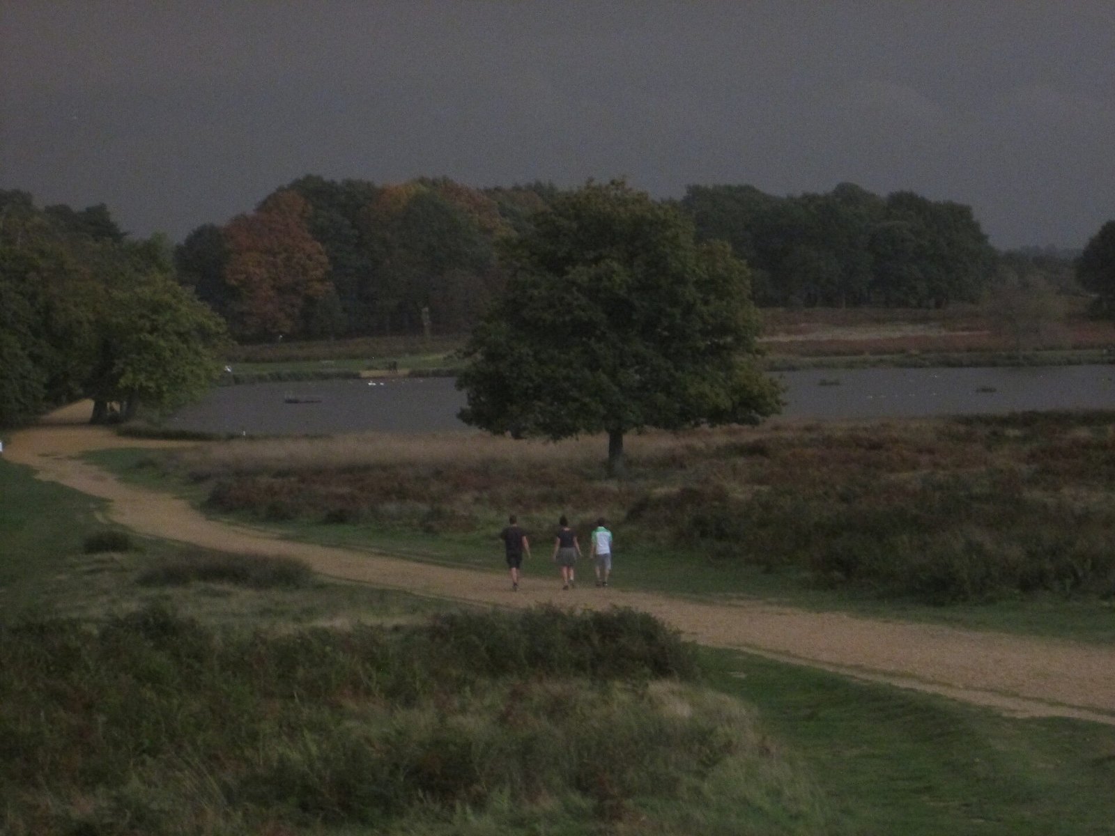 Three walkers on a path towards the Pen Ponds in Richmond Park, a typical 7,000 steps a day autumn walk