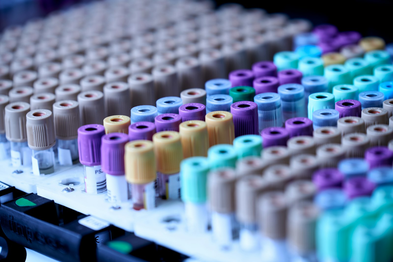 Rows of blood collection tubes - a ferritin test is the only way to know whether iron supplements for tiredness will help