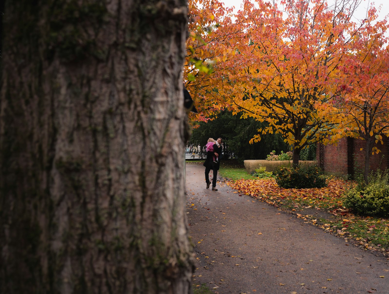 A person walking along a tree-lined path in autumn