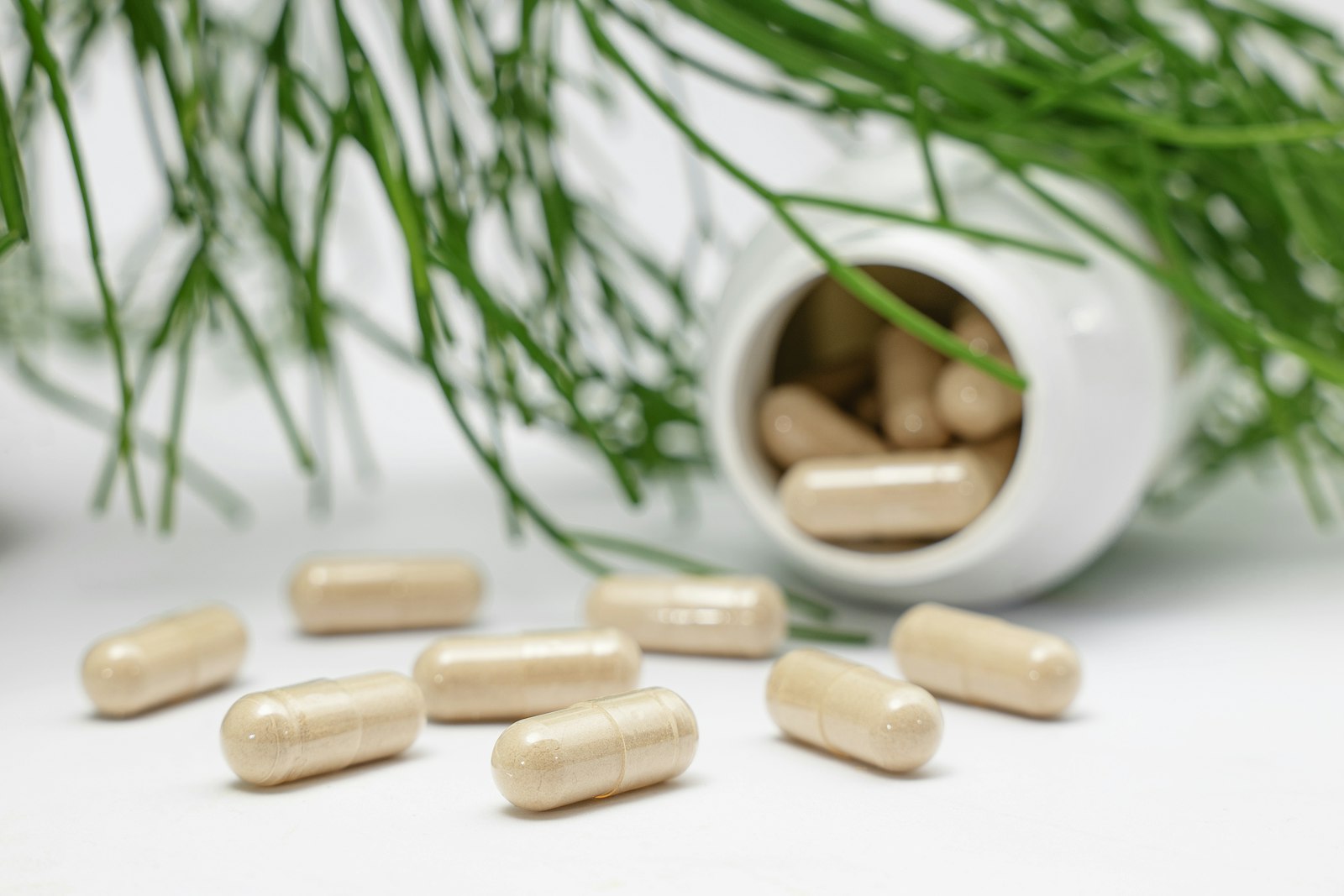 Menopause Supplements Are a 78-Ingredient Guessing Game in 2026: Which? Tested 21 Products, the Placebo Effect Runs at 50% – and Only Four Herbs Have Trials Worth Reading